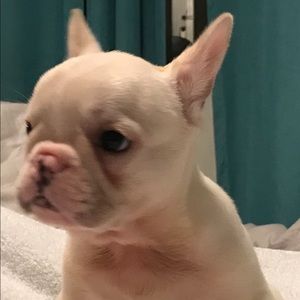 Meet your Posher, Carolina